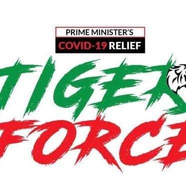 tigers.com Partners logo