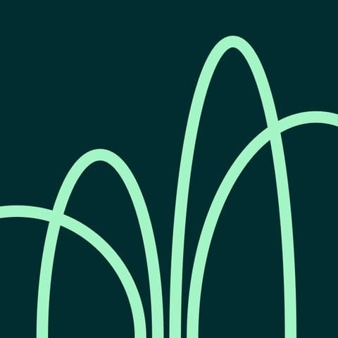 Willow Wealth Support logo