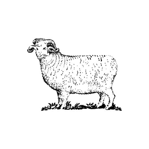 Woolrich logo