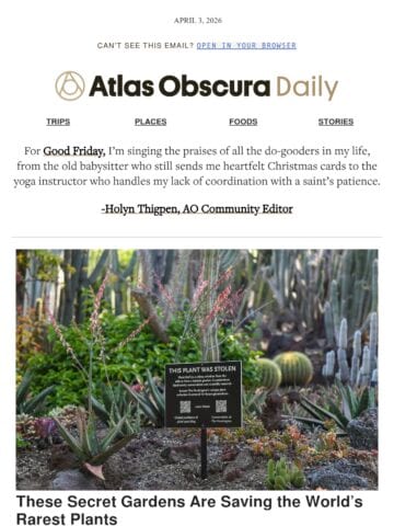 No Thumbnail Set
