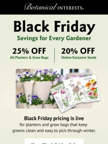 No Thumbnail Set