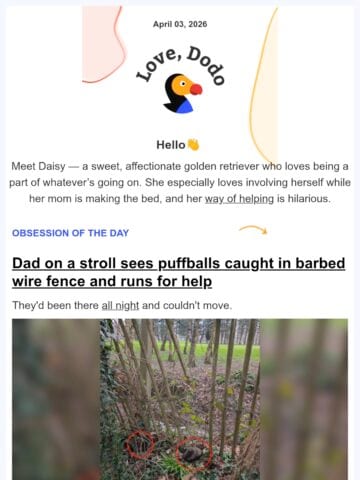 No Thumbnail Set
