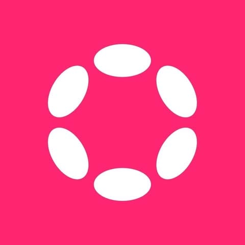 Polkadot Newsletter logo