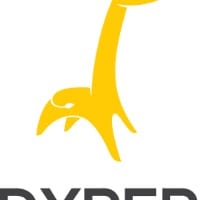 DYPER??? Team logo