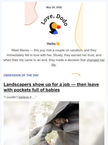 No Thumbnail Set
