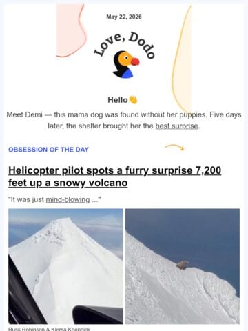 No Thumbnail Set
