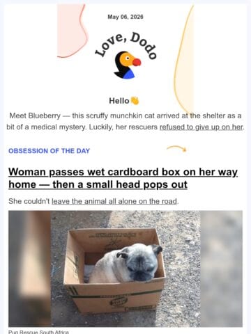 No Thumbnail Set