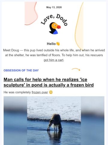 No Thumbnail Set