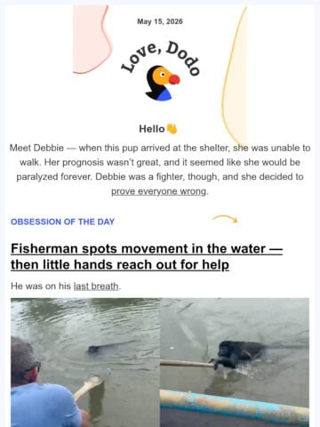 No Thumbnail Set