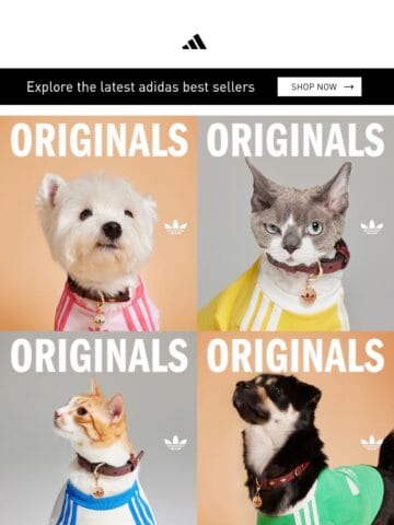 No Thumbnail Set