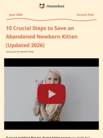 No Thumbnail Set