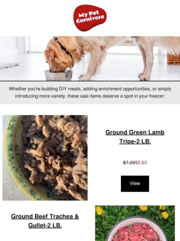 No Thumbnail Set