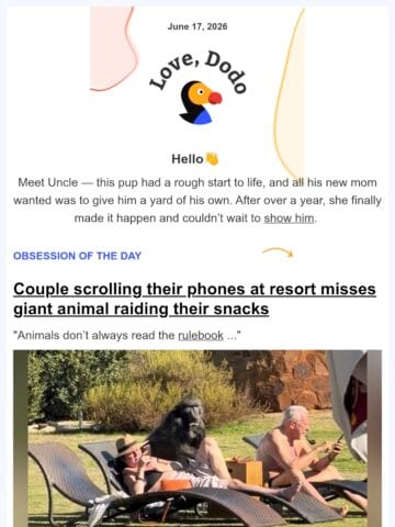 No Thumbnail Set
