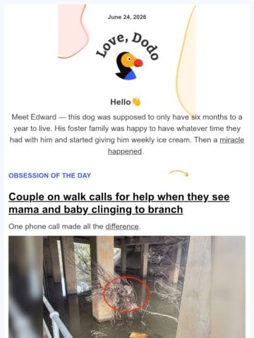 No Thumbnail Set