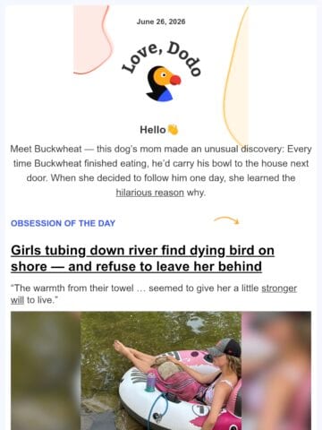 No Thumbnail Set