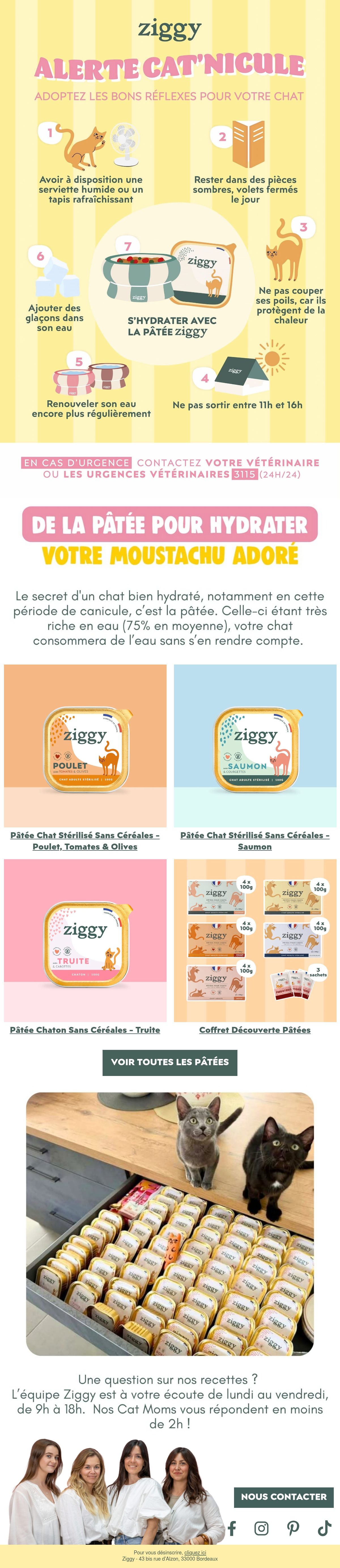 Ziggy summer email