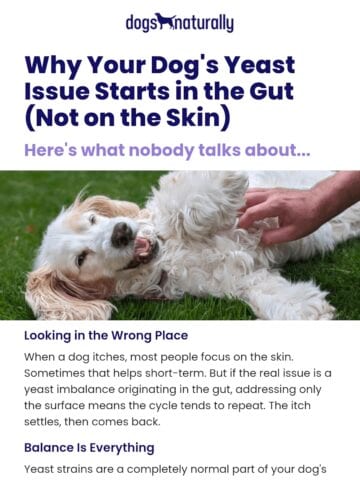 No Thumbnail Set
