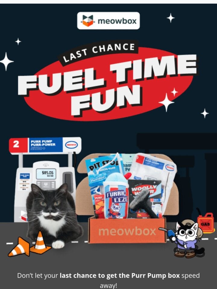 No Thumbnail Set