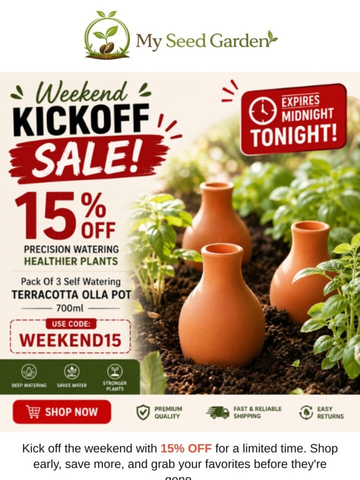 No Thumbnail Set