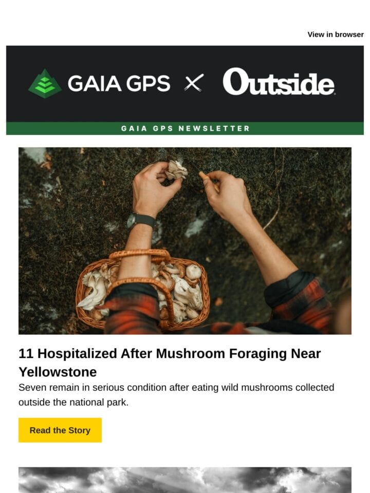No Thumbnail Set