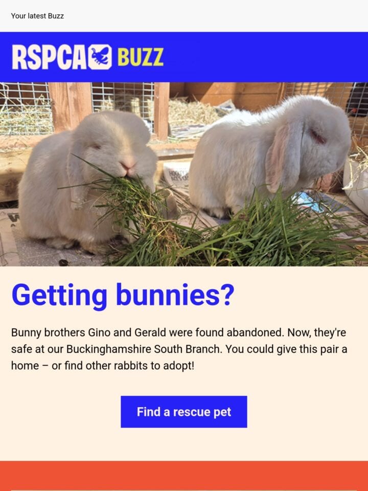 No Thumbnail Set