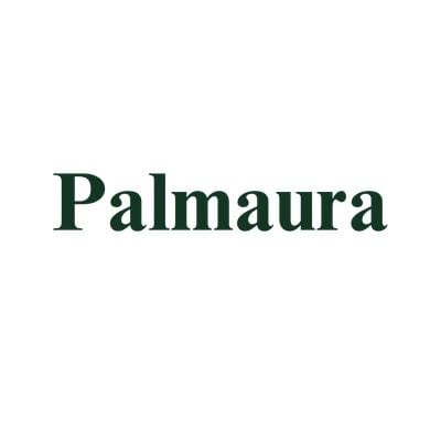 Palmaura logo