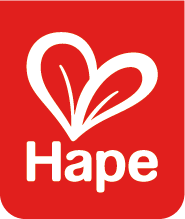Hape Toys logo