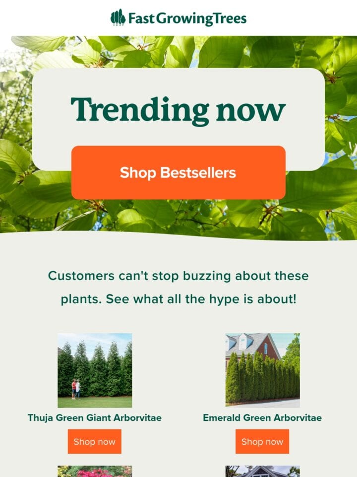 No Thumbnail Set