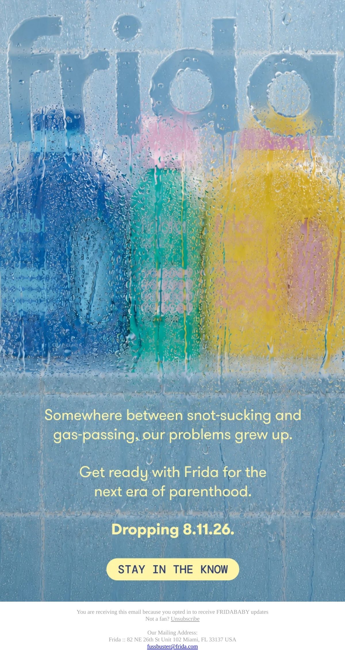 Frida creative concept email