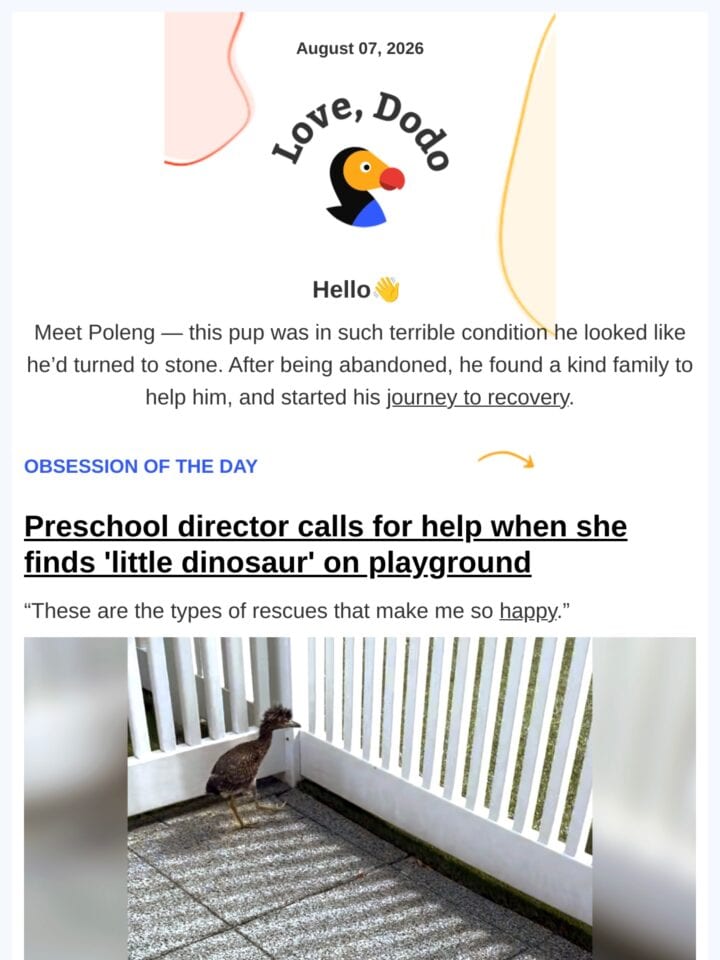 No Thumbnail Set