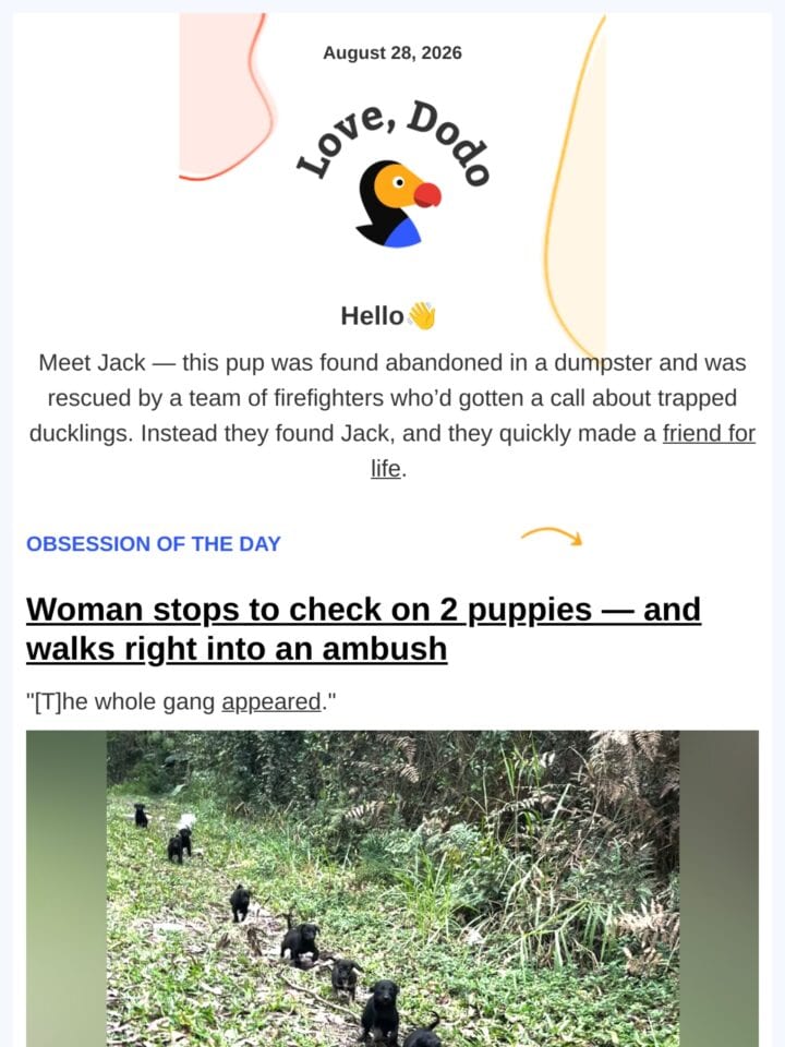 No Thumbnail Set
