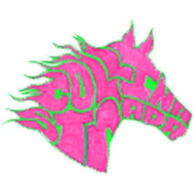 Collina Strada logo