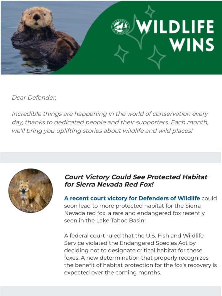 No Thumbnail Set