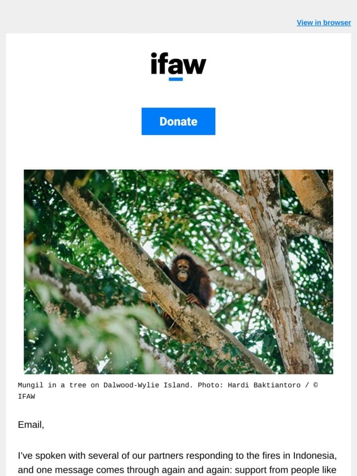 No Thumbnail Set