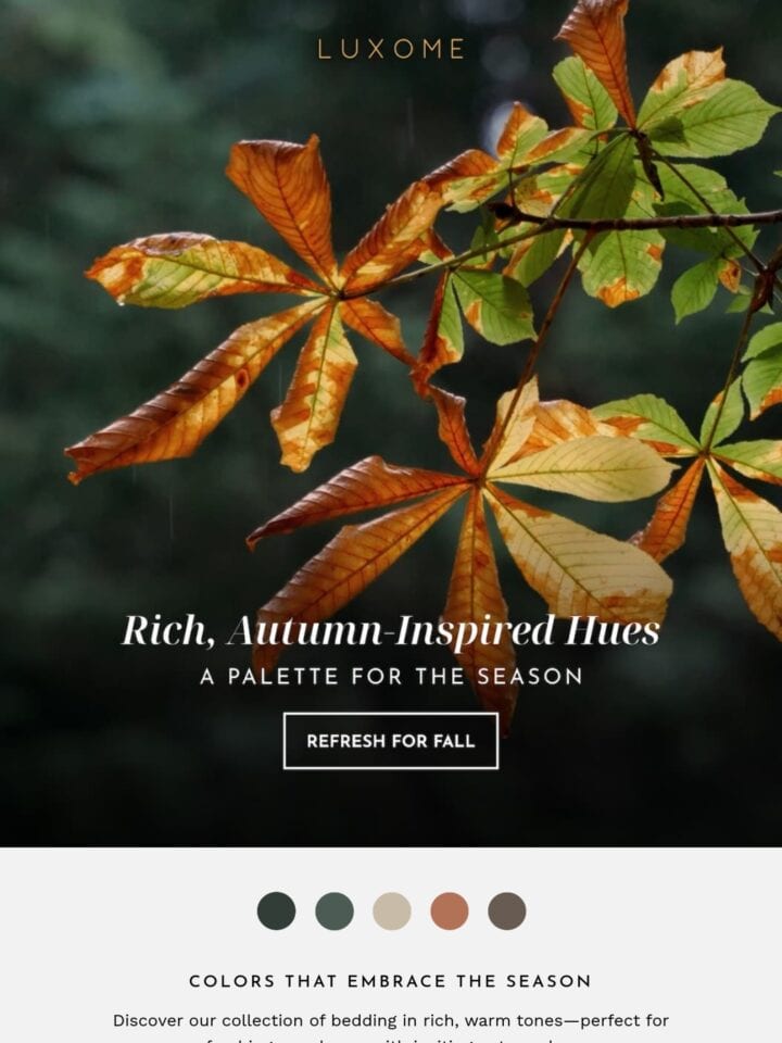 No Thumbnail Set