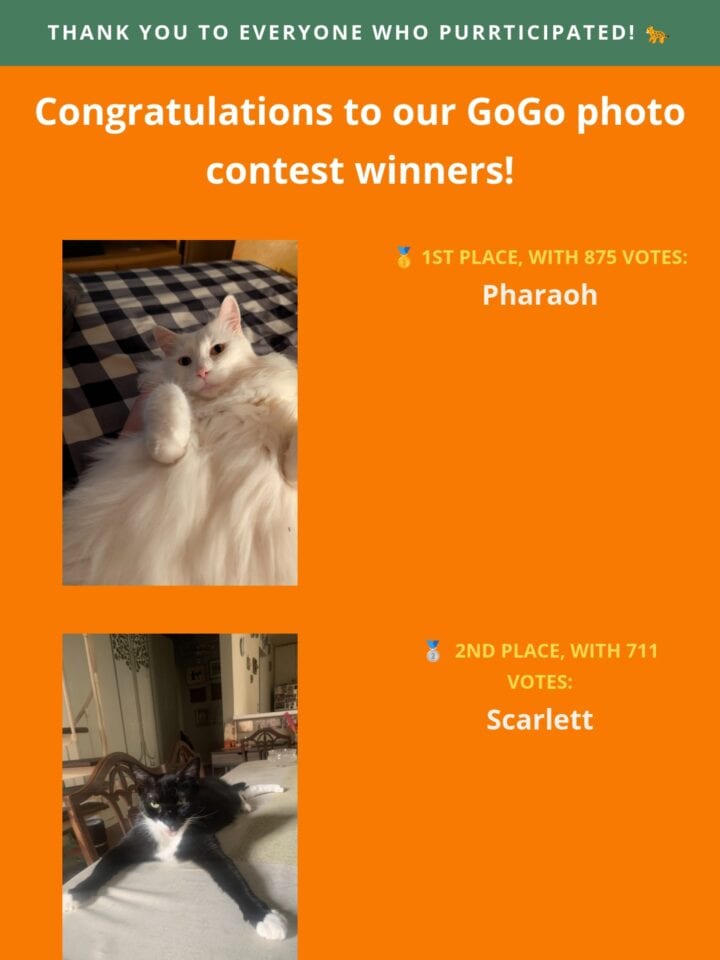 No Thumbnail Set