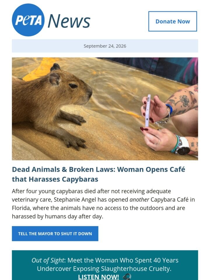 No Thumbnail Set