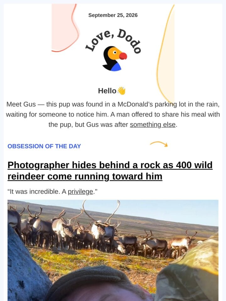 No Thumbnail Set