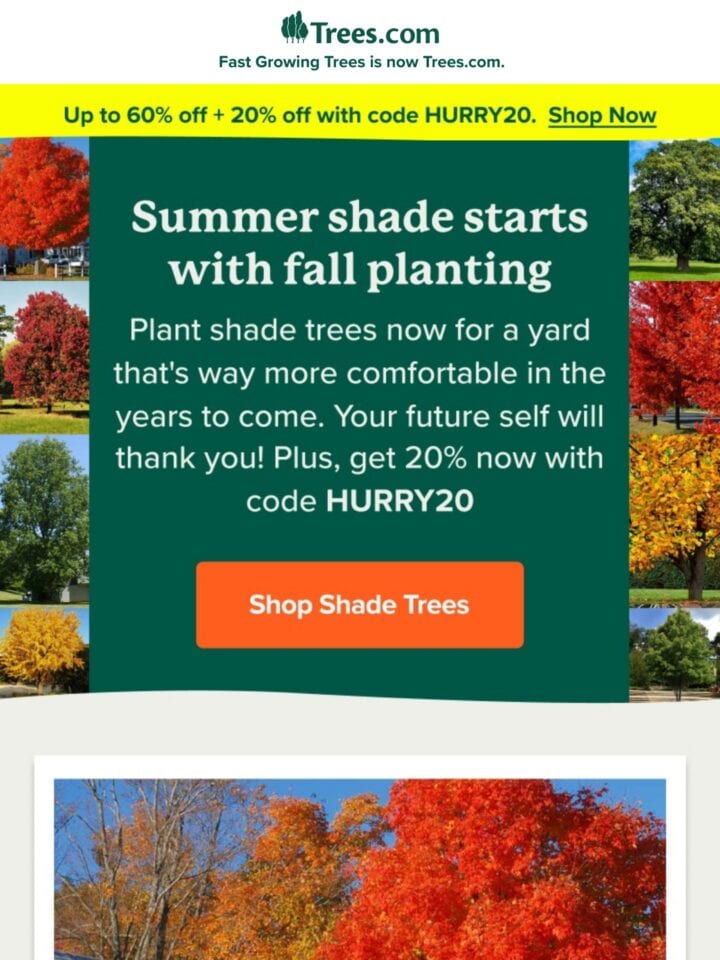 No Thumbnail Set