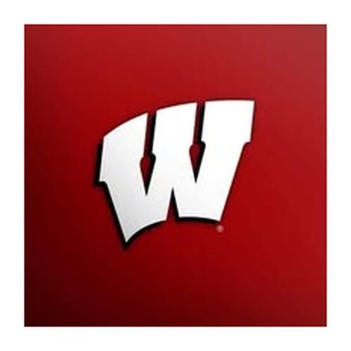 Wisconsin Badgers Official Online Store logo