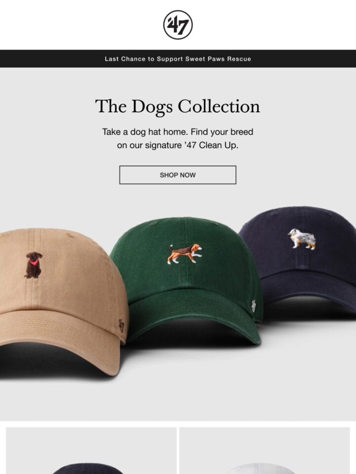 No Thumbnail Set