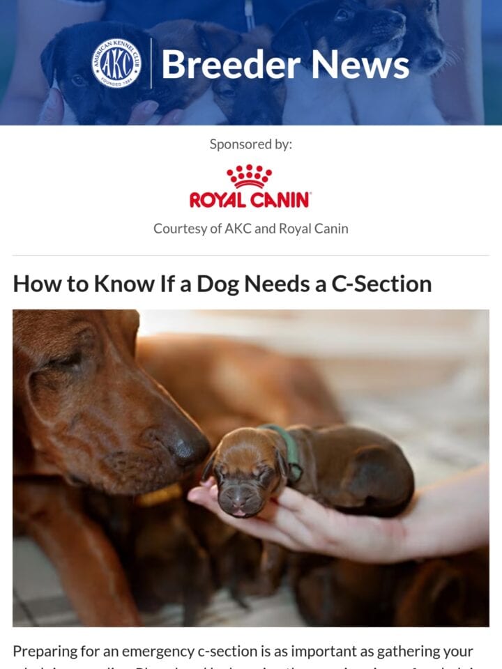 No Thumbnail Set