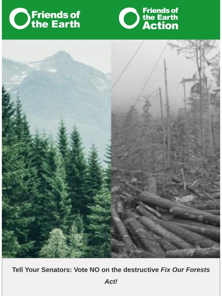No Thumbnail Set