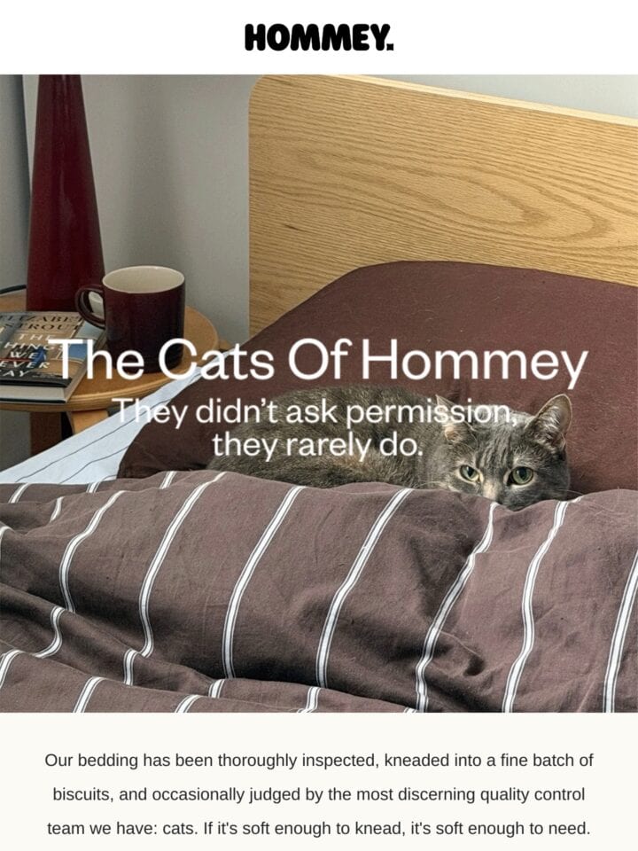 No Thumbnail Set