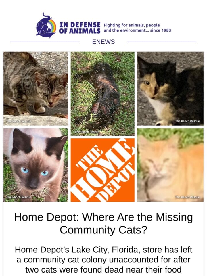 No Thumbnail Set