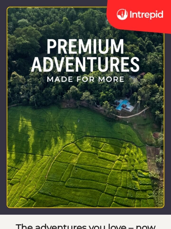 No Thumbnail Set