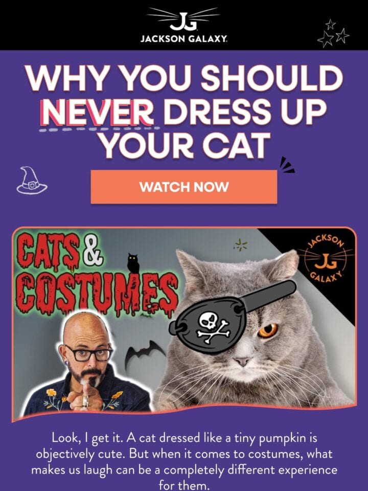 No Thumbnail Set