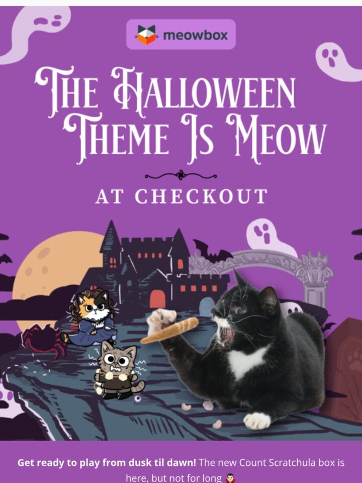 No Thumbnail Set