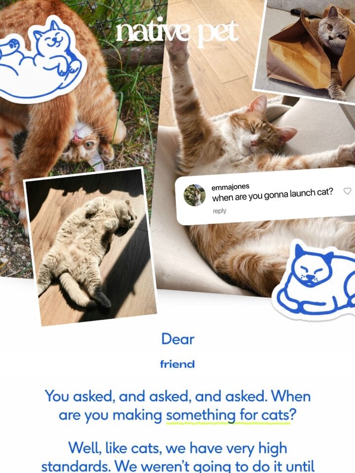 No Thumbnail Set