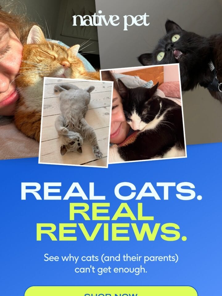 No Thumbnail Set